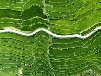 澜沧江畔 梯田绿美如画