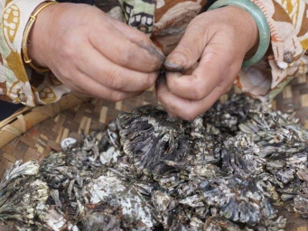 云南昆明：野生菌大量上市