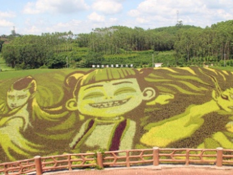 去宾阳大陆村看《哪吒》稻田艺术展